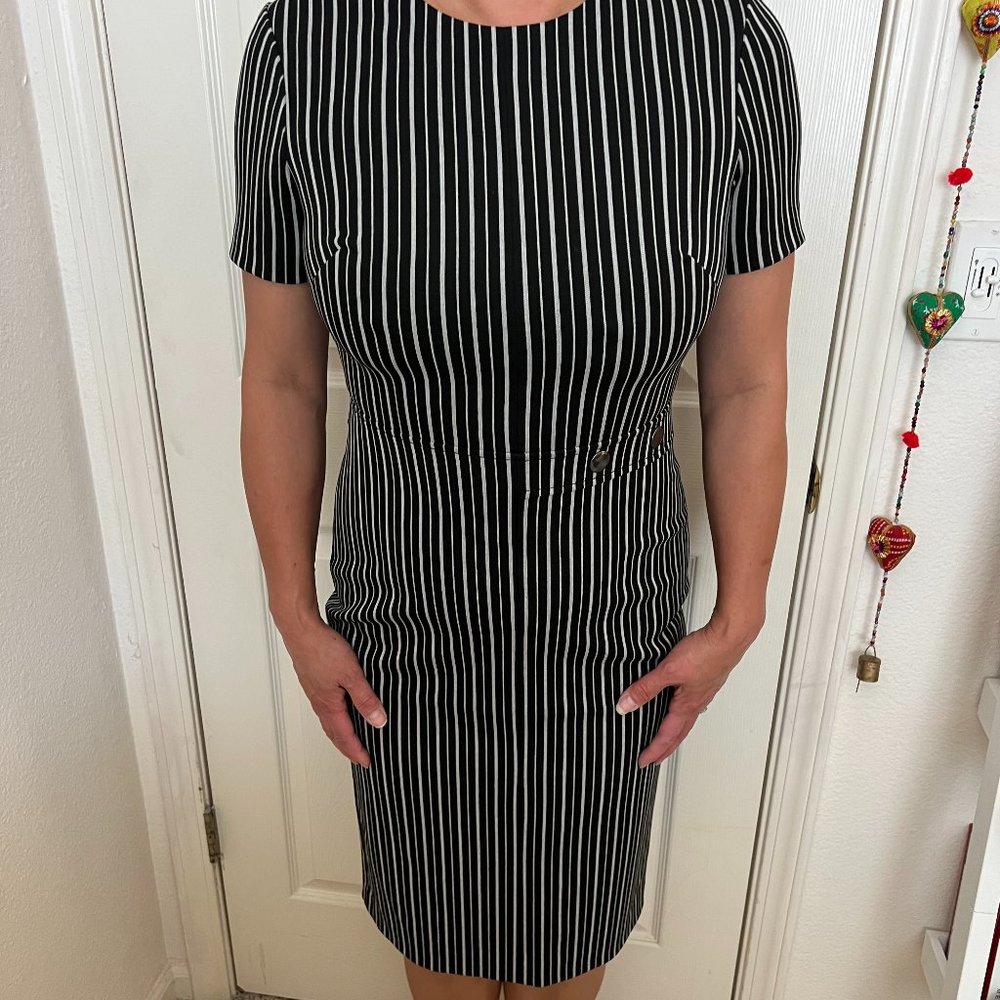 Banana Republic Vertical Striped Sheath dress